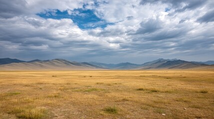 Obraz premium Expansive Golden Grassland Under Dramatic Cloudy Sky in Remote Mountain Landscape