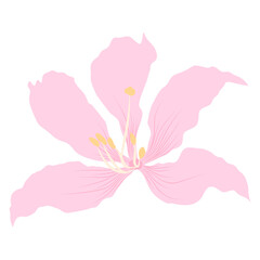 minimalist, line art, simple, elegant, aesthetic, botanical, floral, vector, continuous line, single flower, white background, negative space, modern, fine line, organic shapes, hand drawn, illustrati