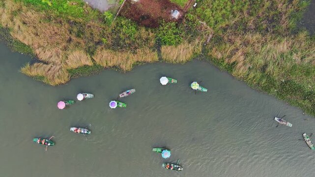 Top-down aerial view of small rowing boats navigating calm river surrounded by reeds and vegetation in Tam Coc Ninh Binh creating peaceful natural composition