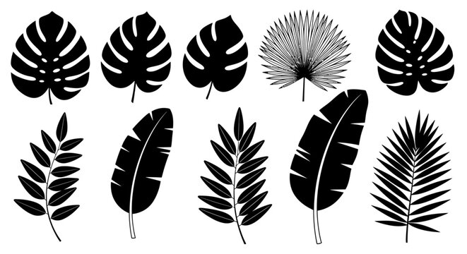 tropical leaves black silhouette vector illustrations set featuring monstera palm and banana plants ideal for exotic botanical design.