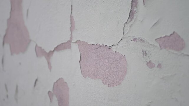 Close up view of old white cracked paint on a pink wall, peeling paint effect, old house wall, damaged wall, cracked white paint slowly peeling off a pink wall in a home