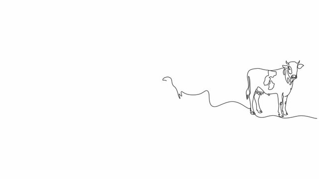 Continuous Line Farm and Wild Animals Animation,Elephant Turtle Buffalo Cow One Line Drawing