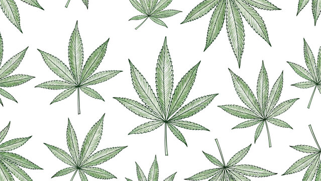 Seamless pattern background featuring hand drawn green cannabis or marijuana leaves in various sizes on a clean white backdrop.
