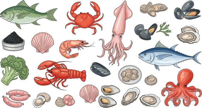 Seafood vector illustration set with fish crab lobster squid shrimp mussels oysters and marine food collection