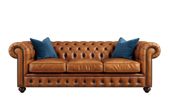 Chesterfield leather sofa with blue pillows, classic style furniture for luxury living room interior design concept