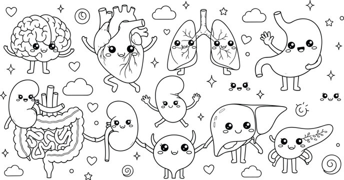 Cute human organs cartoon vector coloring page with kawaii anatomy characters brain heart lungs kidney liver illustration