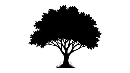 Fototapeta premium Silhouette of a lush tree against a white background vector illustration