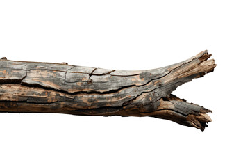 Fototapeta premium Rough textured old tree branch with weathered bark showing cracks, isolated on transparent background