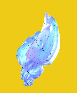 a sea shell with a beautiful blue colour