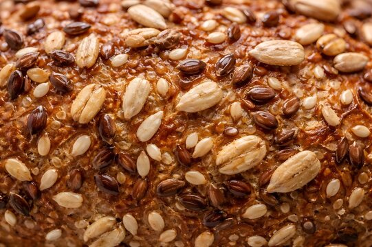 Multigrain Bread Close-Up