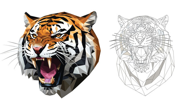 Creative low poly tiger head design presented alongside its geometric wireframe structure to showcase modern digital art and 3d modeling.
