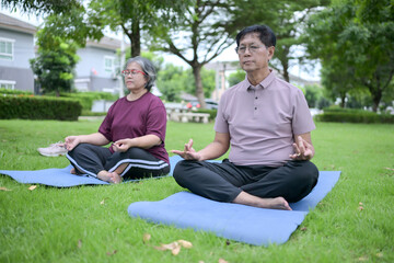Obraz premium Asian senior couple meditating on yoga mats in a park