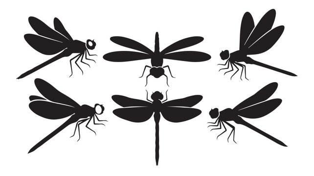 Set of 5 black dragonfly icons vector