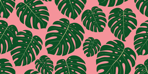 Seamless pattern of vibrant green monstera leaves on a soft pink background © Anik