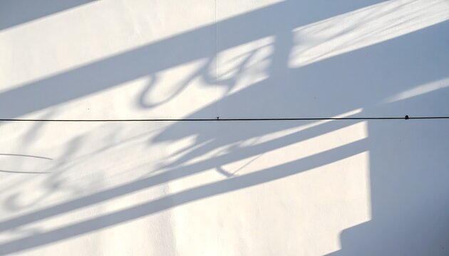 Shadow of thin wire on white wall illuminated by afternoon light