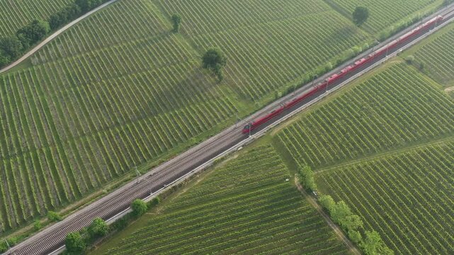 A modern red high-speed train zooms through lush Italian vineyards, a perfect balance of technology and nature. Captured from above in motion.