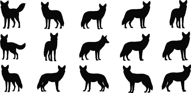 Aardwolf silhouette collection. African striped hyena relative wildlife vector set. Multiple isolated mammal poses including standing and alert aardwolf animals.
