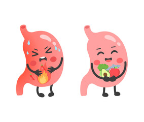 Fototapeta premium Healthy and sick stomach characters. Happy stomach with fresh food and sad stomach with heartburn. Gut health and digestion concept. Vector illustration.