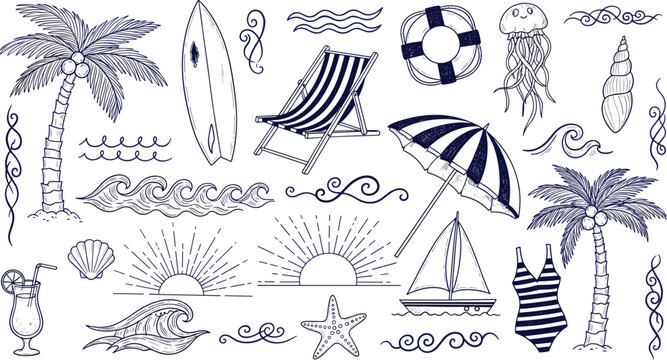 Black and white line collection of various seashells and marine life line seashells ocean mollusks