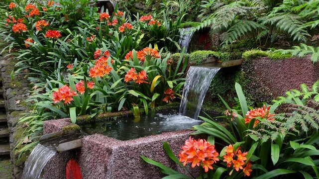 Cascading waterfall flowing through a lush garden in Madeira Island.
