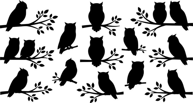 set vector various owl, owl sitting on a tree branch silhouettes
