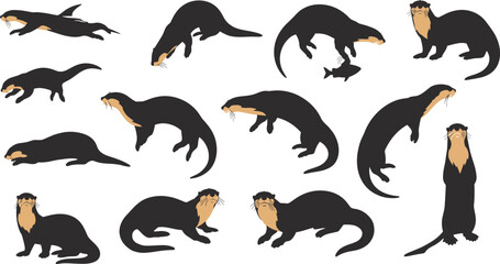 Obraz premium Otter Animal Vector Set with Different Poses, Swimming, Standing and Playing Actions for Wildlife Illustration, Nature Design and Cute Mammal Collection