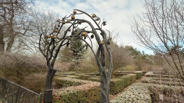 An intricate iron sculpture of a fruiting tree arches over a garden path. The frosted hedges beyond create a magical and elegant feeling, inviting visitors to explore the quiet winter park.