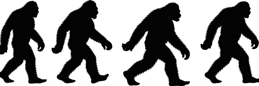 Bigfoot Sasquatch silhouettes walking sequence isolated on white background, mythical creature legend concept for wildlife folklore, flat vector illustration