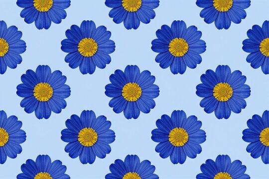 A blue and yellow flower pattern on a blue background