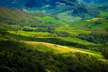 Obraz premium Beautiful Munnar Landscapes sceneries Kerala, India, Munnar tea plantations, Beautiful Munnar Hillstation