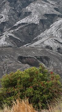 4K Vertical B-Roll Close-Up of Volcanic Erosion Gullies on Mount Bromo Slopes, Bromo Tengger Semeru National Park, East Java Indonesia