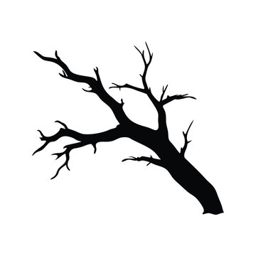 Silhouette of a tree branch with intricate details, black and white vector illustration, dead tree branch silhouette vector illustration