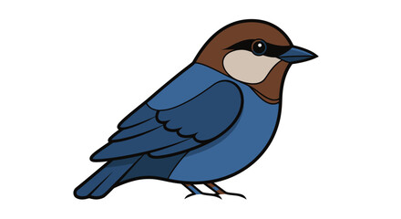 Obraz premium Blue and brown small bird standing.