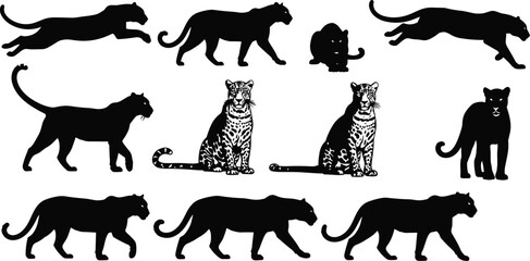 Collection of leopard and panther silhouettes featuring predatory wild cats jumping, walking, sitting, stalking, and standing icons for safari and wildlife design © Najmin