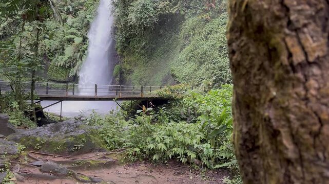 Slow camera reveal of a majestic tropical waterfall behind an an ancient mossy tree trunk, highlighting the beauty and importance of a healthy natural ecosystem for environmental conservation and...