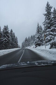Winding mountain road through a snowy forest