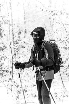 Skier standing in a snowy forest, ready to descend