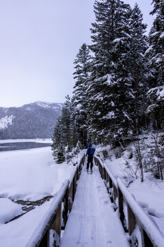 Winter landscape with a fence leading towards a frozen lake
