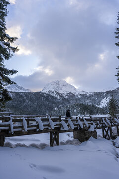 Vertical view of a wooden bridge in a snowy forest