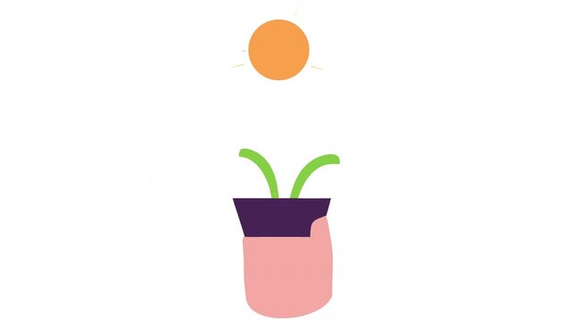 Seedling in a pot. Animation of plant growth in the sun, alpha channel. Cartoon