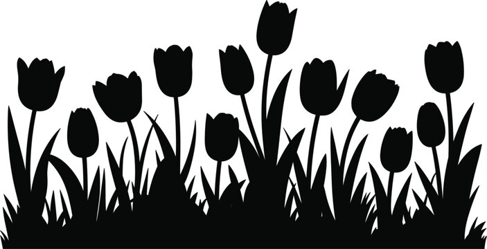Tulip flowers silhouette border, spring garden floral grass composition for nature decorative design vector