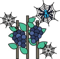 Naklejka premium Grapes cluster on vines with spiderwebs nearby