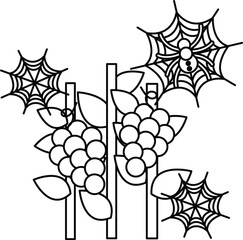 Naklejka premium Grapes cluster on vines with spiderwebs nearby