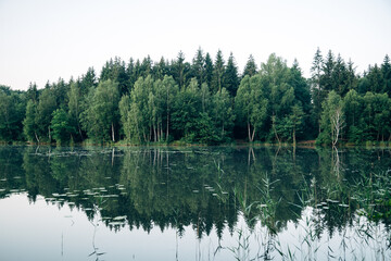 Obraz premium Serene Wilderness Lake with Mirror-Like Reflections, Untouched Alpine Water Surrounded by Dense Pine Forest in Soft Natural Light