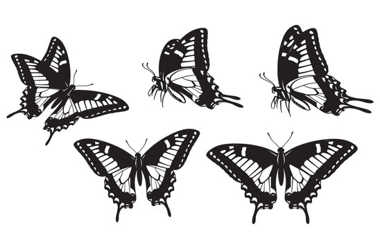 Collection of realistic butterfly silhouettes in various poses isolated on transparent background for design elements and decorations