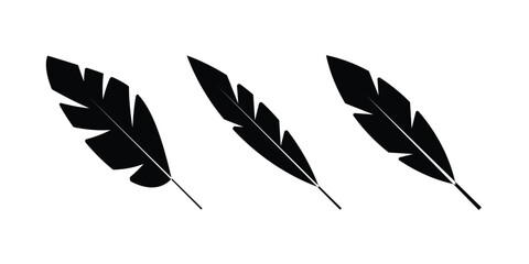 Obraz premium Bird feather icon isolated on a white background. Black abstract feather silhouette collection. Elegance feather element decoration.