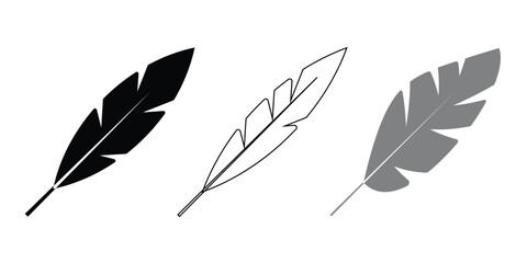Vector feather, Bird feather symbol in line and solid style, Transparent PNG and illustration © RadiantForms