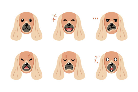 Set of cute character cocker spaniel dog faces showing different emotions