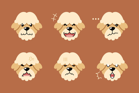 Set of cute character poodle dog faces showing different emotions