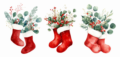 Christmas stockings filled with winter greenery, red berries, and eucalyptus branches, creating a festive watercolor illustration for holiday season decoration and celebration © Narin